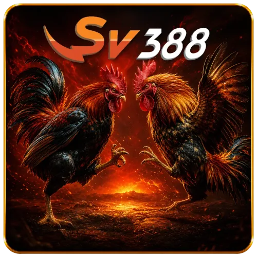 SV888